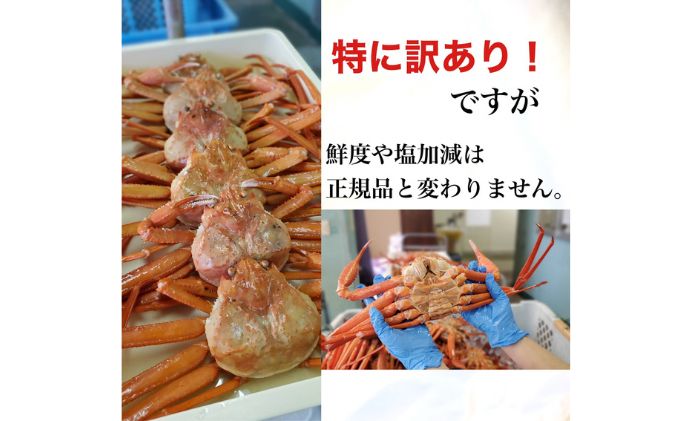 魚卸問屋のベニズワイガニ 約3kg