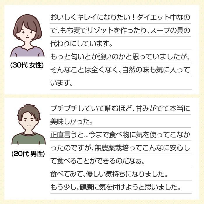 もち麦 もちむぎ 900g 無農薬 無肥料 自然栽培 ダイシモチ 宮崎県産 食物繊維