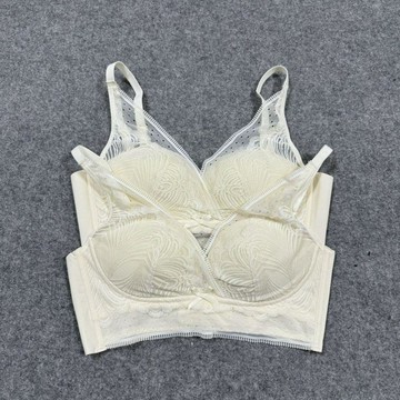 ✨ 新品限定類新款美背內衣女桑蠶絲無鋼圈文胸薄款性感收副乳大碼蕾絲UMI8