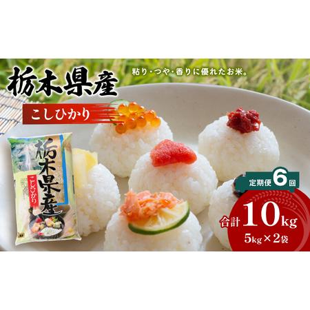 ふるさと納税 栃木県産 こしひかり 10kg×6回 真岡市 栃木県 送料無料 栃木県真岡市