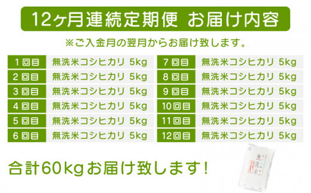 [051-k001] 定期便 ≪12ヶ月連続お届け≫無洗米 ふるさと福井県産 コシヒカリ 5kg × 12回（計60kg）