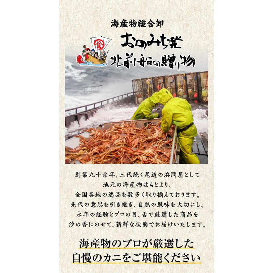 カニ かに 蟹 セール 生食OK カット 生 ズワイガニ 1kg(正味800g)×1 海鮮 刺身 生 鍋 送料無料 かに カニ 蟹