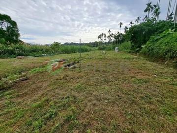 新社月湖景觀農地｜台中市新社區月湖段