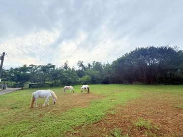 儀居團隊I8石門北海岸都計內土地｜新北市石門區白沙灣段
