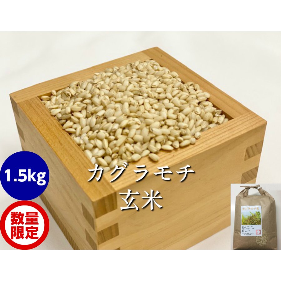 令和5年産 新米 カグラモチ 玄米 1,5kg