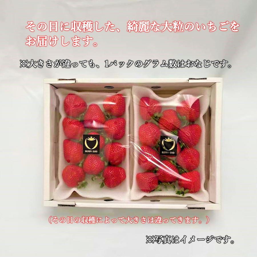いちご あまおう おすすめ イチゴ 苺 フルーツ 送料無料 高級 人気 1箱 2パック