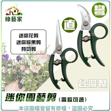 【綠藝家】迷你園藝剪-彎、直 (台灣製超輕量迷你花剪、迷你採果剪、芽切剪)