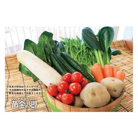 ふるさと納税 黄金の郷　季節のお野菜お楽しみAセット 宮城県涌谷町