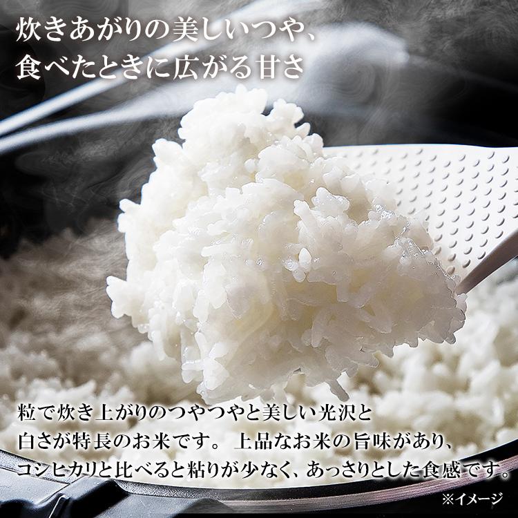 米 8kg 送料無料 宮城県産つや姫 令和4年度産 生鮮米 お米 つや姫 低温製法米 白米 一人暮らし アイリスフーズ