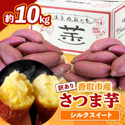 ふるさと納税 香取市 香取市産 さつまいもシルクスイート 約10kg×1