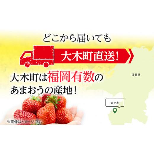 ふるさと納税 福岡県 大木町 先行予約 福岡育ち あまおう いちご 約270g×4パック 合計1080g  CB223