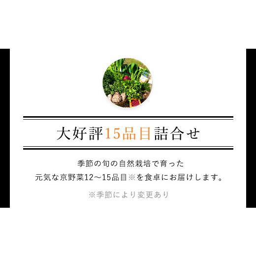 ふるさと納税 京都府 福知山市 京野菜15品目詰合せ  ふるさと納税 京野菜 野菜 京都府 福知山市