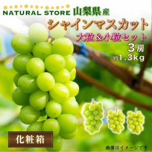 [最短順次発送]  シャインマスカット 3房 1.3kg 600g 1房   350 2房 小粒 大粒 セット 山梨県産 夏ギフト 暑中見舞い 夏ギフト お中元 御