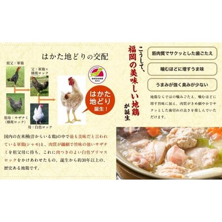 ふるさと納税 水炊き セット 3〜4人前 福岡 限定！はかた地どり 鶏 肉 とり肉 鳥肉 鶏肉 鍋 なべ スープ付き ポン酢 コラーゲン 地鶏 冷凍 贈答.. 福岡県朝倉市