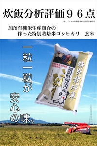 新潟県加茂市産 特別栽培米コシヒカリ 玄米15kg（5kg×3）従来品種コシヒカリ 加茂有機米生産組合 定期便 定期購入 定期 コシヒカリ 新潟県産コシヒカリ 米 お米