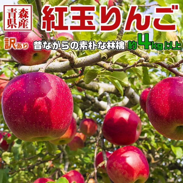 青森県産 紅玉りんご 4kg以上 訳あり ご家庭用 家族 家庭向け アップルパイなどお料理に最適 送料無料