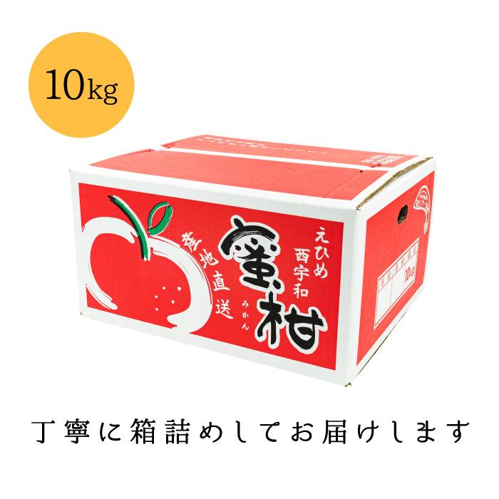 「お試しみかん10」お試し品Sサイズ 愛媛西宇和産みかん10キロ