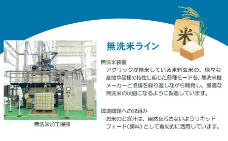 令和4年産 無洗米 南関郷のお米 「ひのひかり」10kg 熊本県産