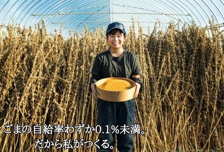 香胡園 国産金ごま・乾麺（うどん・そうめん）全商品詰め合わせセット