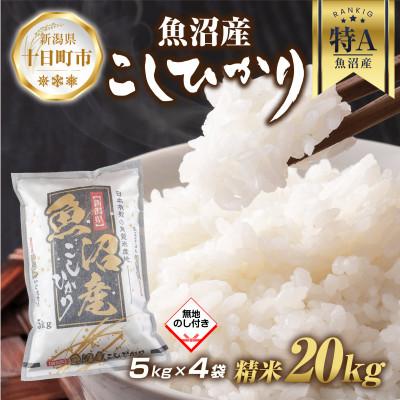 ふるさと納税 十日町市 魚沼産 コシヒカリ 5kg×4袋 計20kg(お米の美味しい炊き方ガイド付き)