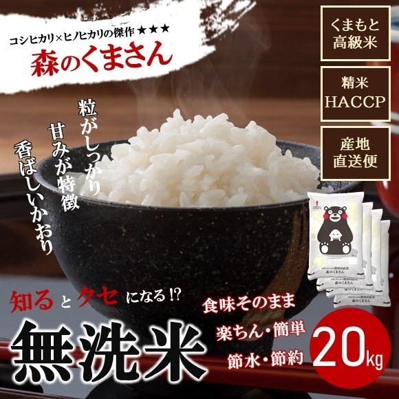 無洗米 森のくまさん 九州どまんなか熊本のお米 20kg(5kg×4袋） 熊本県産 人気 おうち時間 特A おすすめ おいしい 送料無料