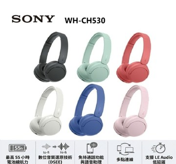 SONY 無線藍牙耳罩式耳機 WH-CH530 (公司貨 保固12個月)