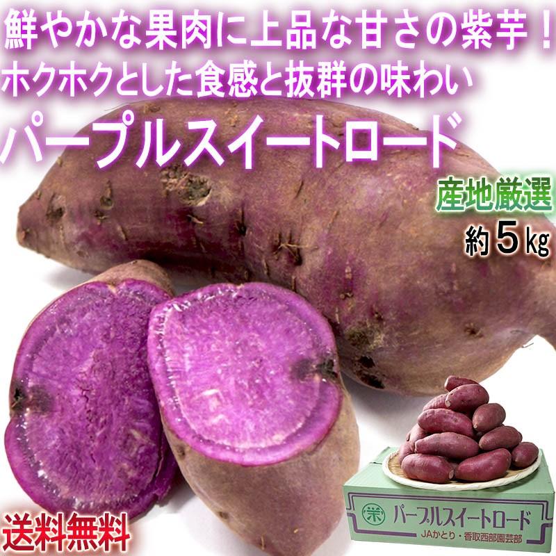 パープルスイートロード 紫芋 約5kg 千葉県産中心 JA共撰品中心 ホクホクの食感と上品な甘さ！お菓子作りにも人気のさつまいも