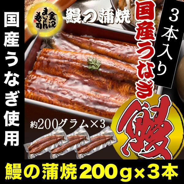 うなぎ 鰻 ウナギ 国産 うなぎ蒲焼 大サイズ蒲焼1尾 解凍前約200g(解凍後約185g) ×3