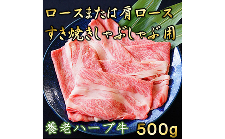 養老ハーブ牛　ロースまたは肩ロース　すき焼き・しゃぶしゃぶ両用　500g