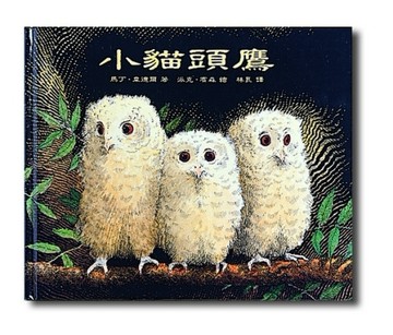 小貓頭鷹[二手書_良好]