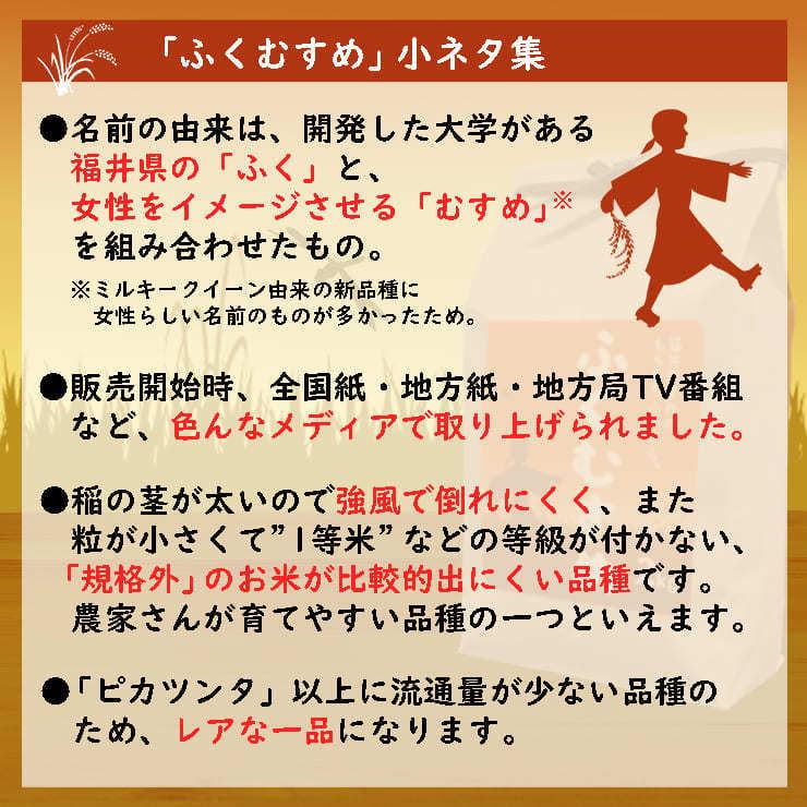 新米 10kg ふくむすめ 5kg×2袋 白米 福井県産 令和5年産 送料無料