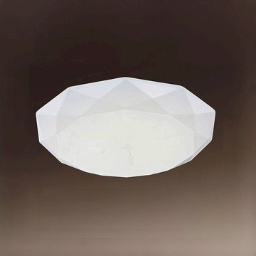 壓克力吸頂二燈 A19-64-72994