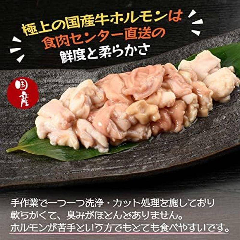 独楽 特撰博多もつ鍋セット 醤油味 4?5人前 500g