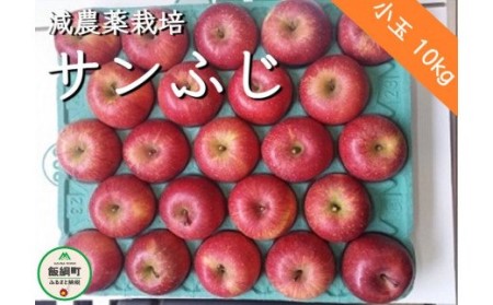 りんご サンふじ 小玉 10kg 丸茂ファーム 2024年1月下旬頃から2024年4月上旬頃まで順次発送予定 エコファーマー認定 信州の環境にやさしい農産物認証 令和5年度収穫分 フルーツ リンゴ 林檎 農家直送 予約 25500円 長野県 飯綱町 [0284]