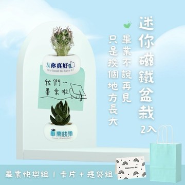 致我們的青春【Green Pandora】畢業快樂✦卡片提袋組｜ 迷你磁鐵盆栽 (2入) 代寫卡片 開啟人生新篇章 友你真好 療癒植栽 舒心 清新氣息 送禮推薦