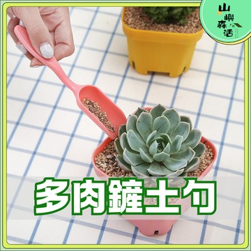 【現貨🌳隔日到貨】多肉鏟土勺 鏟土勺 多肉工具 挖土勺 園藝鏟子 鏟土工具 換盆工具 補土工具 多肉栽培 介質鋪面
