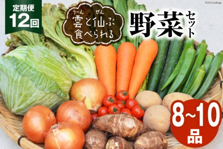 雲（う～ん）と仙（ぜん）ぶ食べられる野菜セット（8～10品）＜肥前グローカル＞