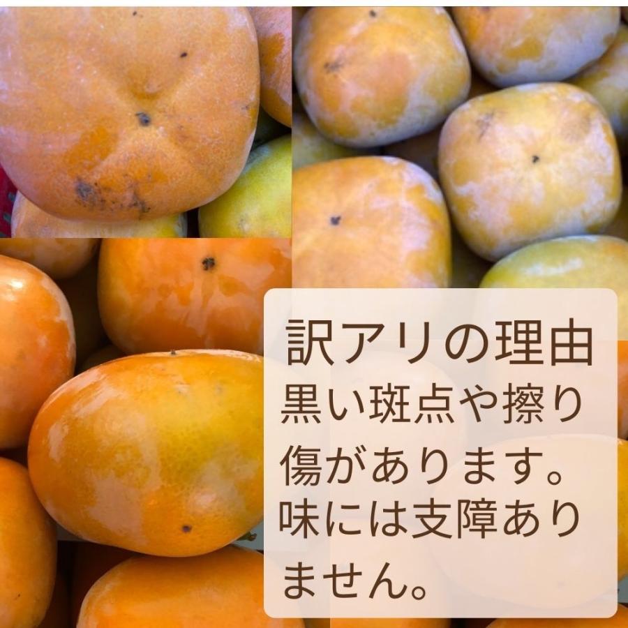 2024年予約販売 和歌山産 特別栽培 種無し柿 約10kg 大きさお任せ たねなし柿 種なし柿  柿  送料無料  高糖度 甘い