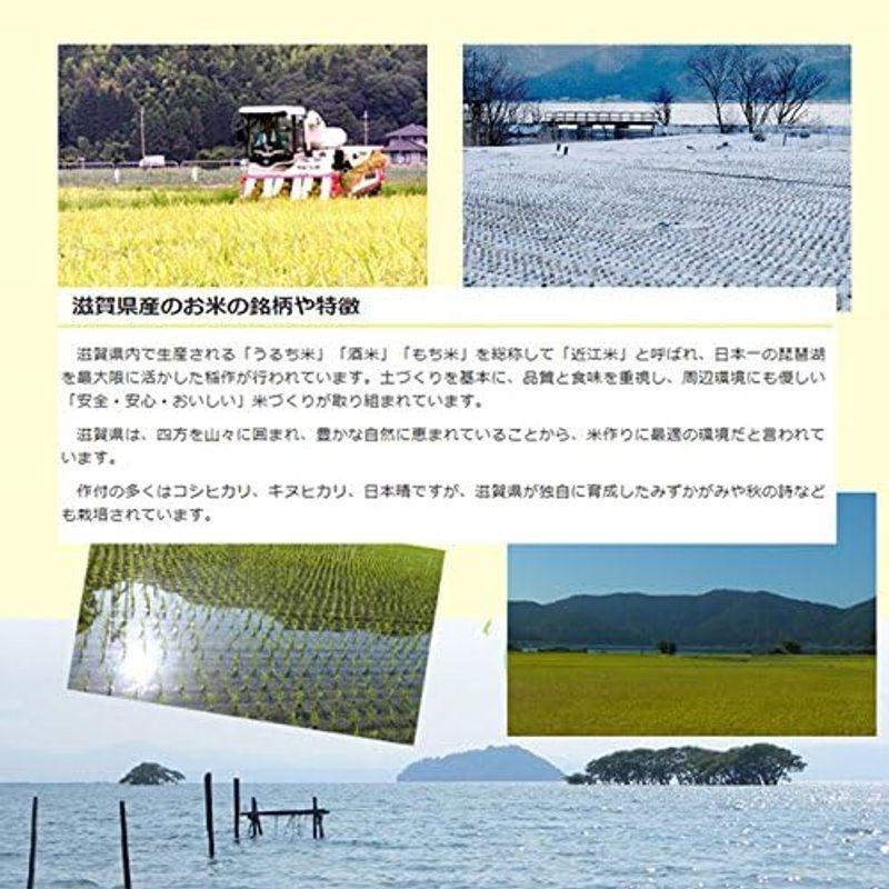 令和4年産 滋賀県産 特別栽培 プレミアム コシヒカリ10kg (5kg×2袋) 出荷日精米 (5分づき 約4.75kg×2袋でお届け)