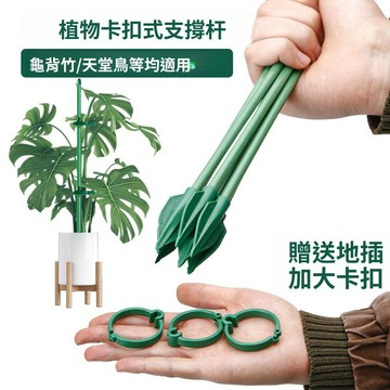 嚴選好物 實用園藝工具 植物支撐桿 園藝扶持架 花架固定器 爬藤神器蘭花支架 花卉防倒伏花桿 抗彎曲耐腐蝕 卡扣式支撐桿