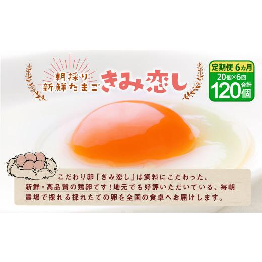 ふるさと納税 福岡県 広川町 きみ恋し 箱入り 20個×6ヶ月 120個 卵 タマゴ たまご 玉子 鶏卵