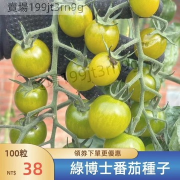 番茄【綠博士番茄種子】(100粒） 小西紅柿種子 超甜 皮薄 多汁 多年生聖女果種籽 四季播種農田盆栽 高產水果蔬菜種子