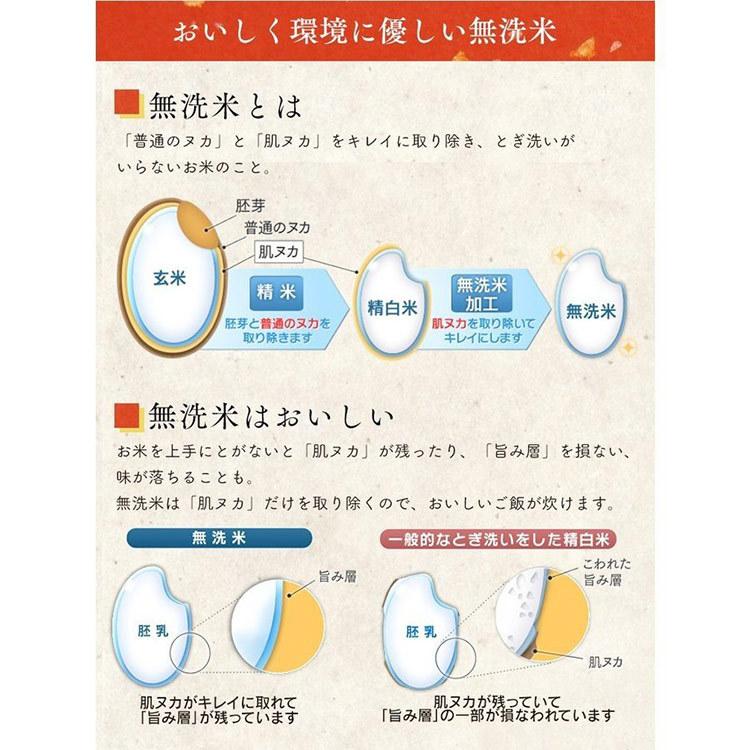 無洗米 北海道産 ゆめぴりか 米 5kg 送料無料 お米 令和4年産 白米 アイリスオーヤマ