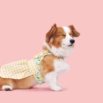 寧晴 Among 胸背衣