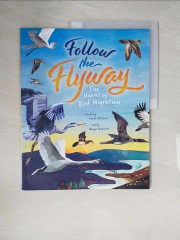 【書寶二手書T6／少年童書_ZQ2】Follow the Flyway: The Marvel of Bird Migration_Hanisch, Maya
