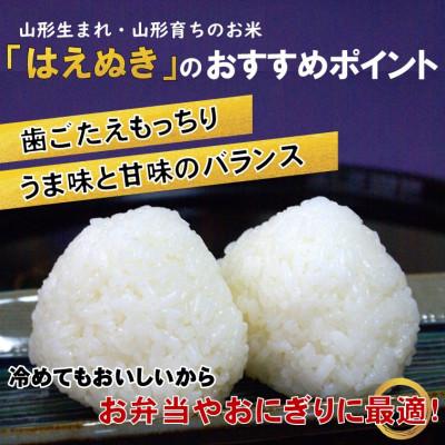 ふるさと納税 飯豊町 はえぬき玄米10kg　山形県飯豊町産