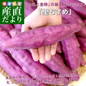 徳島県産 JA里浦 なると金時「里むすめ」 Lサイズ 約5キロ 18本前後 送料無料 きんとき さつまいも サツマイモ 薩摩芋 新芋 高系14号 市