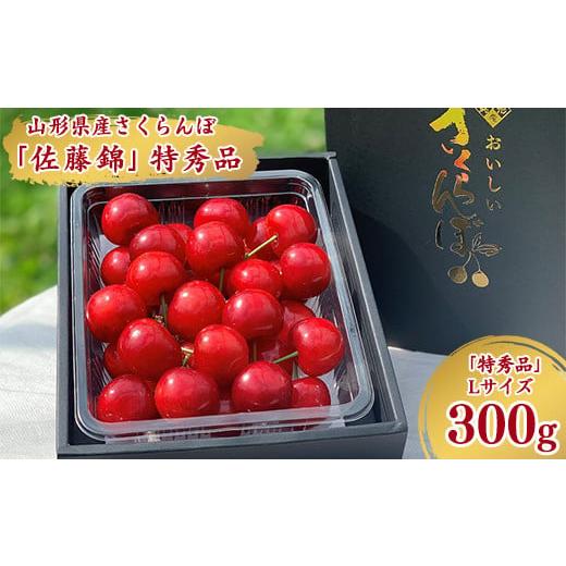 ふるさと納税 山形県 寒河江市 令和6年産 特秀品 さくらんぼ「 佐藤錦 」300g L以上 2024年産 山形県産 山形産 　016-A-A…