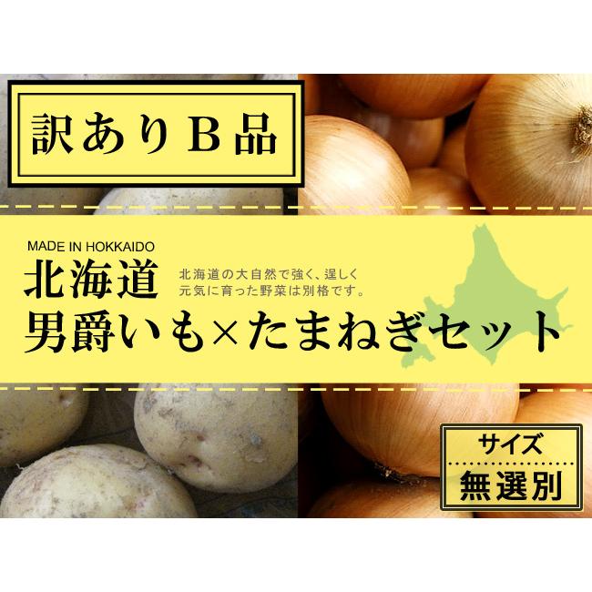 男爵いも  たまねぎセット (各5kg 合計10kg サイズ無選別 訳ありB品) 北海道産じゃがいもと玉ねぎのセット 黄玉葱