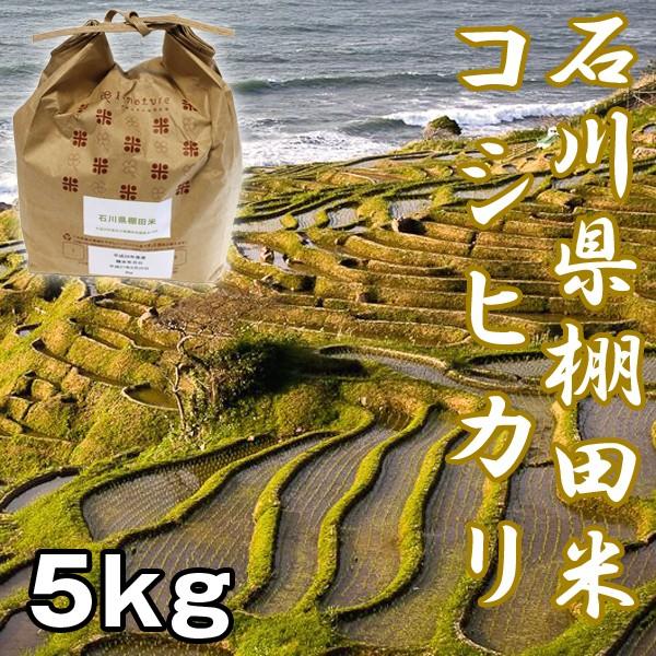 石川棚田米コシヒカリ5kg (お米,米5kg,こしひかり,新米,お取り寄せブランド米,石川県能登半島,世界農業遺産認定米,受注後精米)